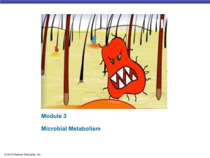 Module 3 Microbial Metabolism