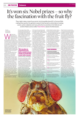 It's Won Six Nobel Prizes – So Why the Fascination with the Fruit Fly?