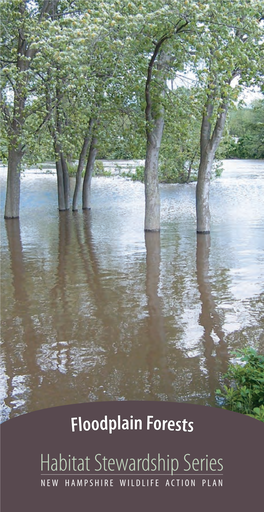 Floodplain Forests Are Unique Because of Their Periodic ﬂooding