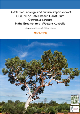 Distribution, Ecology and Cultural Importance of Gunurru Or Cable Beach Ghost Gum