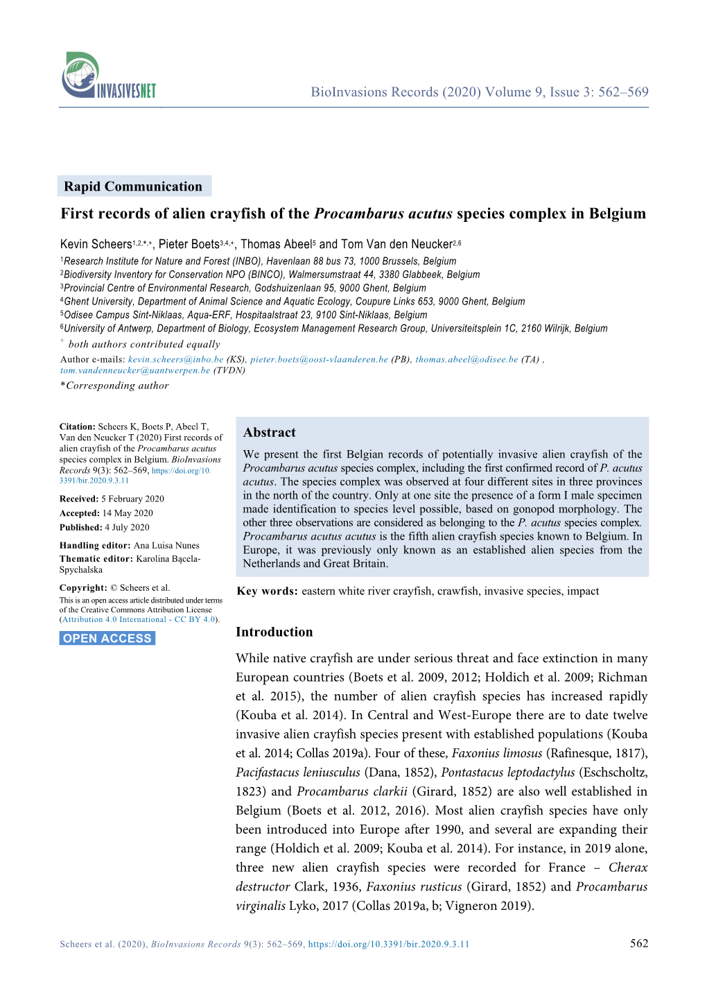 First Records of Alien Crayfish of the Procambarus Acutus Species Complex in Belgium