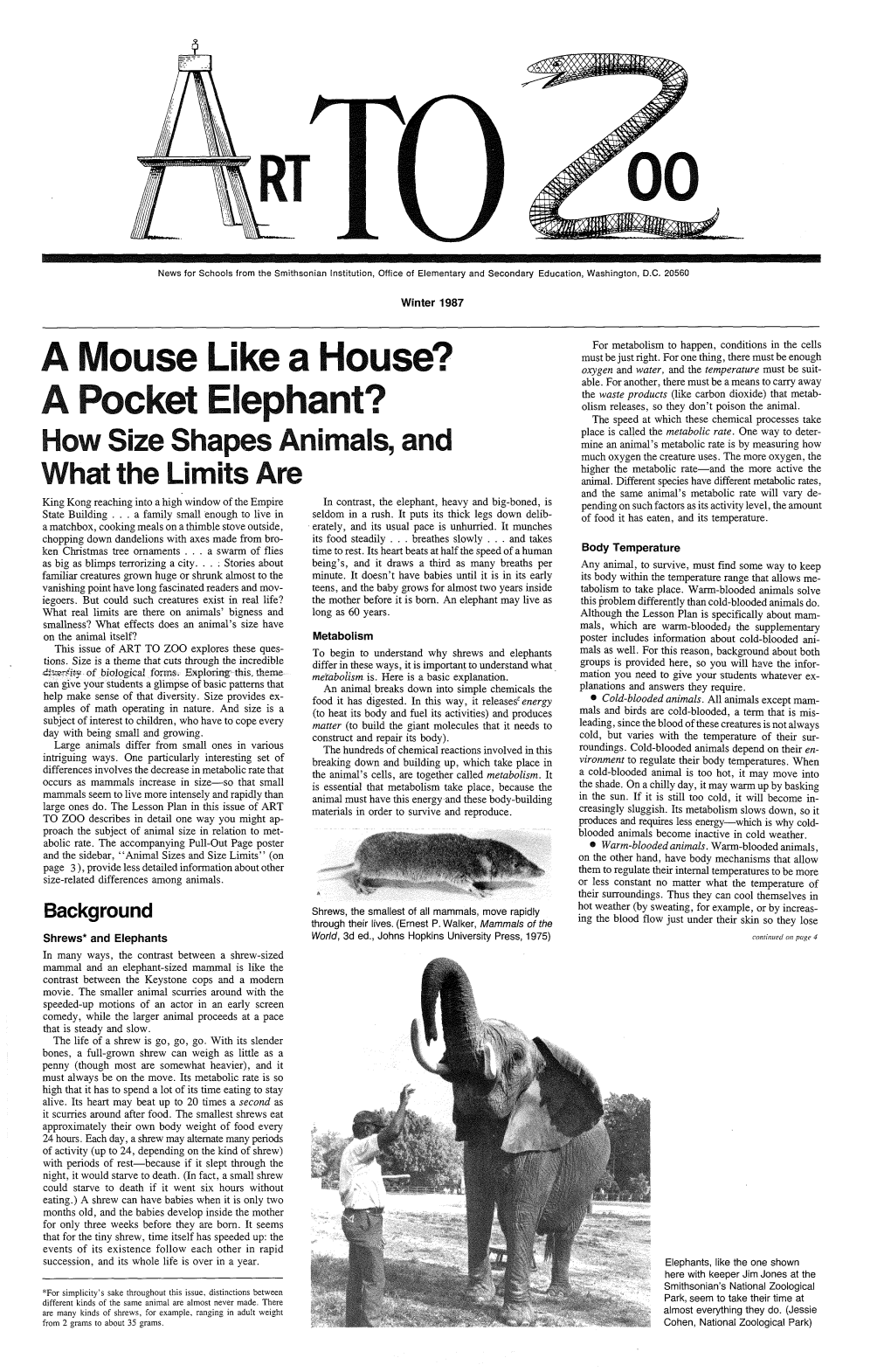 A Mouse Like a House? a Pocket Elephant?