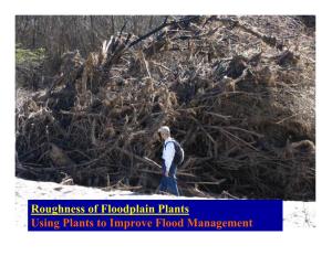 Roughness of Floodplain Plants Using Plants to Improve Flood Management What Is Roughness?