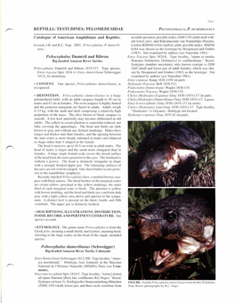 REPTILIA: TESTUDINES: PELOMEDUSIDAE Peltocephalus Dumeril and Bibron