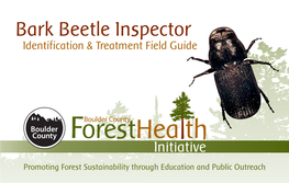 Bark Beetle Field Guide.Vp