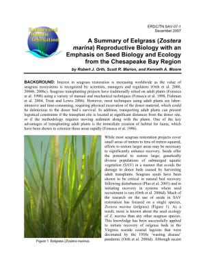 A Summary of Eelgrass (Zostera Marina) Reproductive Biology with an Emphasis on Seed Biology and Ecology from the Chesapeake Bay Region by Robert J