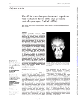 Original Articles the ALX4 Homeobox Gene Is Mutated in Patients With