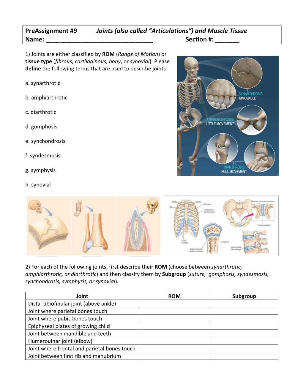 Preassignment #9 Joints (Also Called “Articulations”) and Muscle Tissue Name: Section #: __