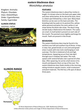 Eastern Blacknose Dace Rhinichthys Atratulus Kingdom: Animalia FEATURES Phylum: Chordata the Eastern Blacknose Dace Is About Four Inches in Class: Osteichthyes Length