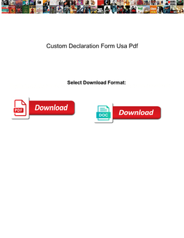 Custom Declaration Form Usa Pdf