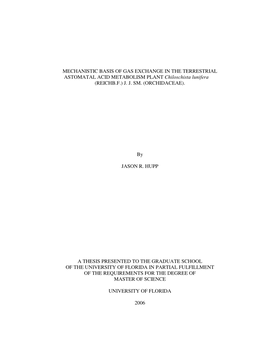 Mechanistic Basis of Gas Exchange in the Terrestrial