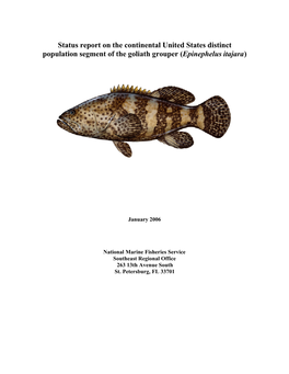 011706 Status Report on the Goliath Grouper