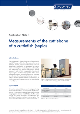 Measurements of the Cuttlebone of a Cuttlefish (Sepia)