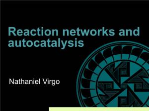 SFI Online Lecture Autocatalysis Nathaniel Virgo
