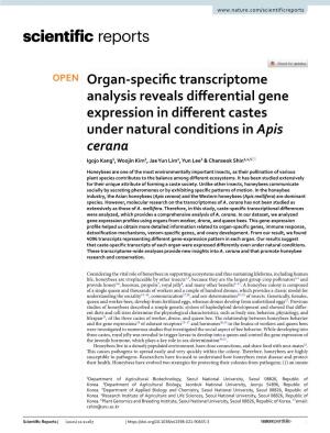 Organ-Specific Transcriptome Analysis Reveals Differential Gene Expression