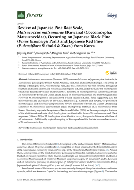 Review of Japanese Pine Bast Scale, Matsucoccus Matsumurae