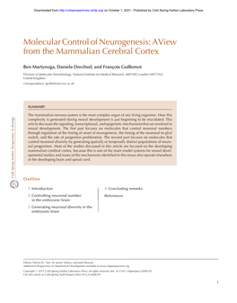 Molecular Control of Neurogenesis: Aview from the Mammalian Cerebral Cortex