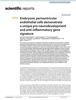 Embryonic Periventricular Endothelial Cells Demonstrate a Unique Pro
