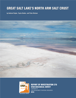 Great Salt Lake's North Arm Salt Crust 3