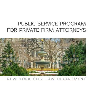 Public Service Program for Private Firm Attorneys
