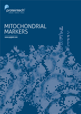Mitochondrial Markers 1