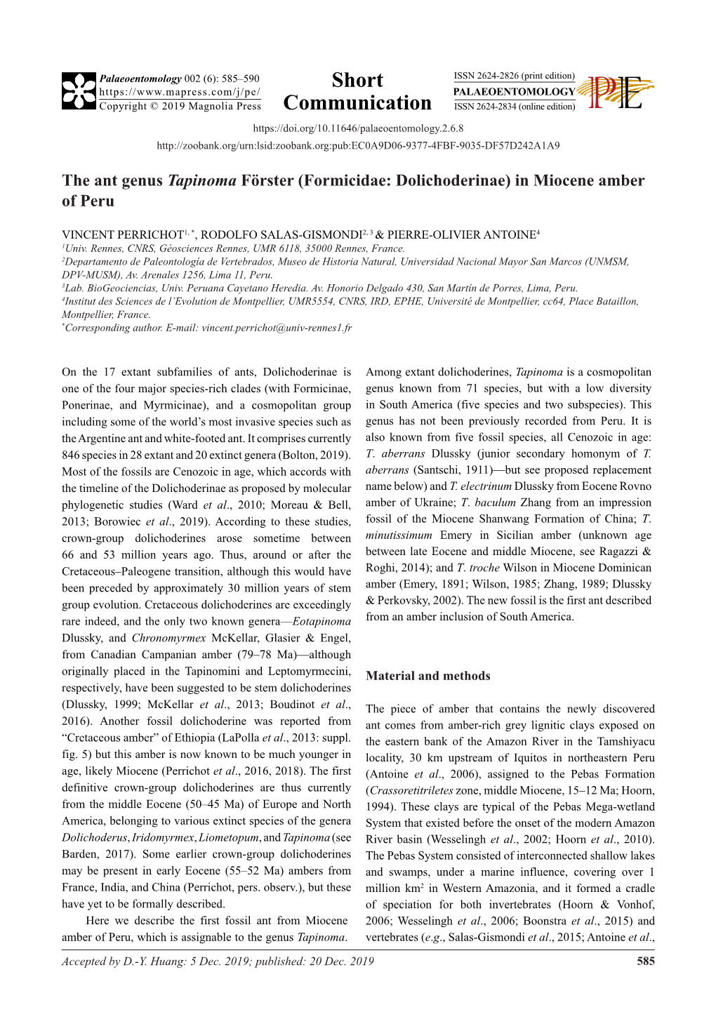 The Ant Genus Tapinoma Förster (Formicidae: Dolichoderinae) in Miocene Amber of Peru