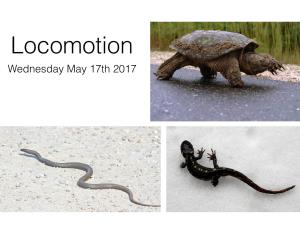 Locomotion Wednesday May 17Th 2017 Announcements