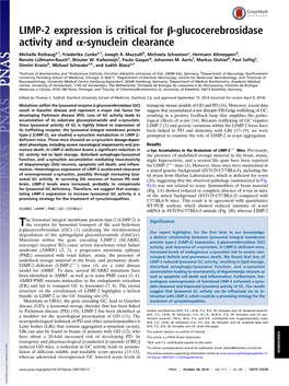 LIMP-2 Expression Is Critical for Β-Glucocerebrosidase Activity and Α-Synuclein Clearance