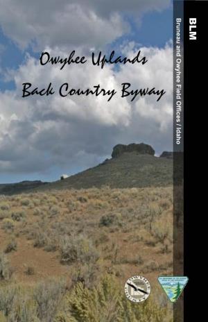 Owyhee Uplands Back Country Byway