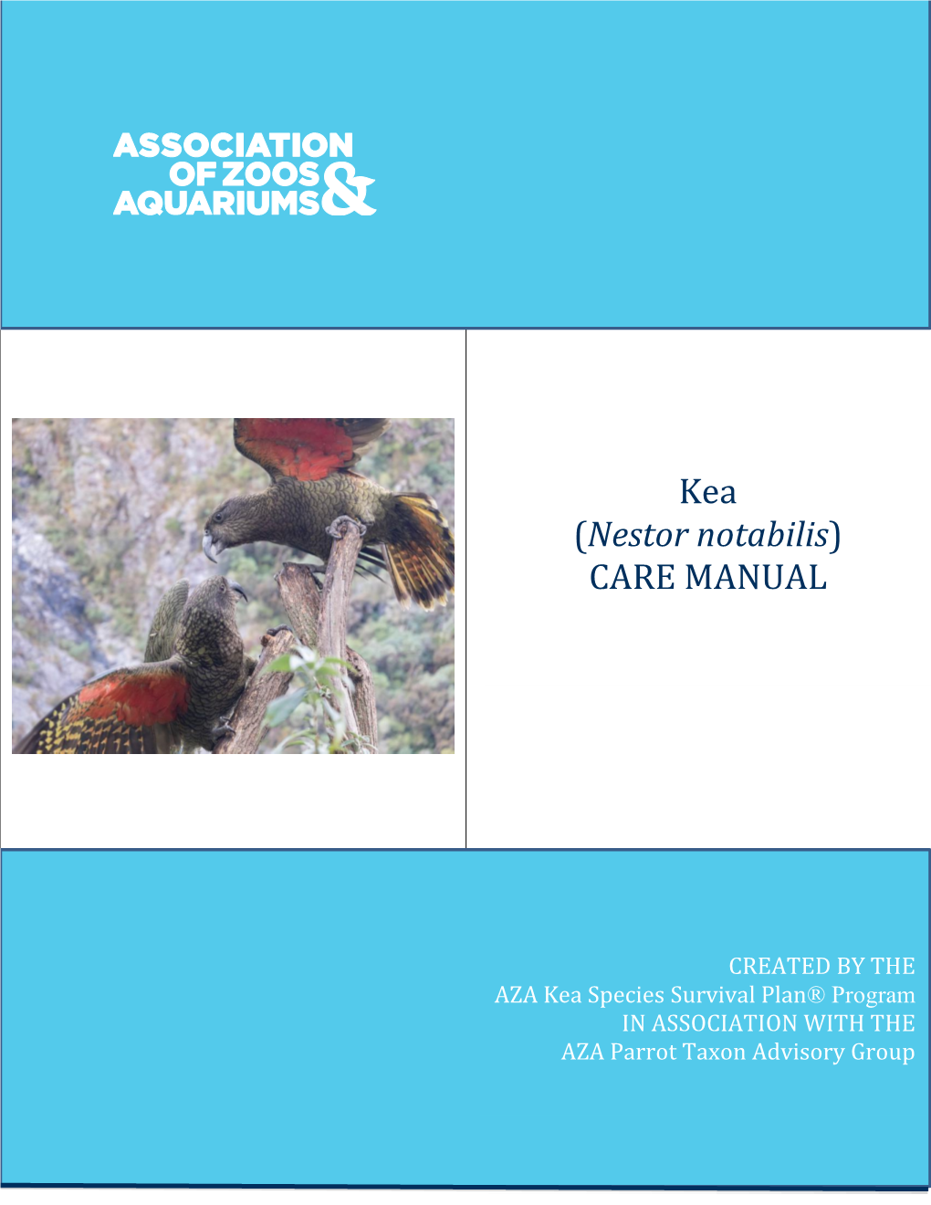 Kea (Nestor Notabilis) Care Manual