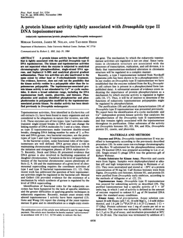 A Protein Kinase Activity Tightly Associated with Drosophila Type II