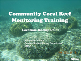Reef Monitoring Training