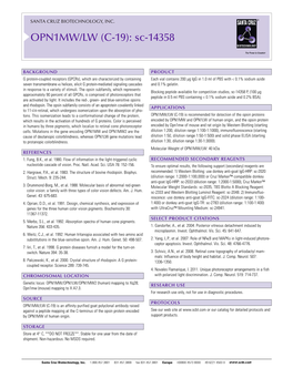 Datasheet Blank Template