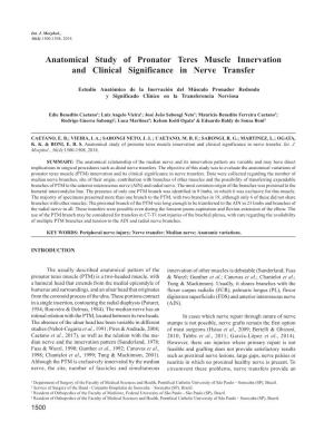 Anatomical Study of Pronator Teres Muscle Innervation and Clinical Significance in Nerve Transfer