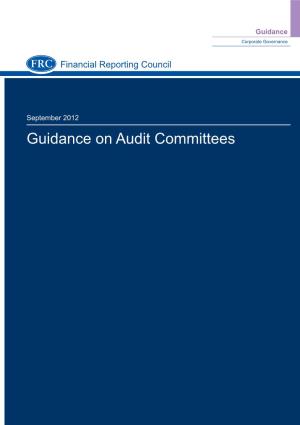 Guidance on Audit Committees