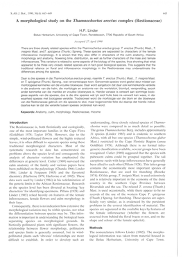 A Morphological Study on the Thamnochortus Erectus Complex (Restionaceae)