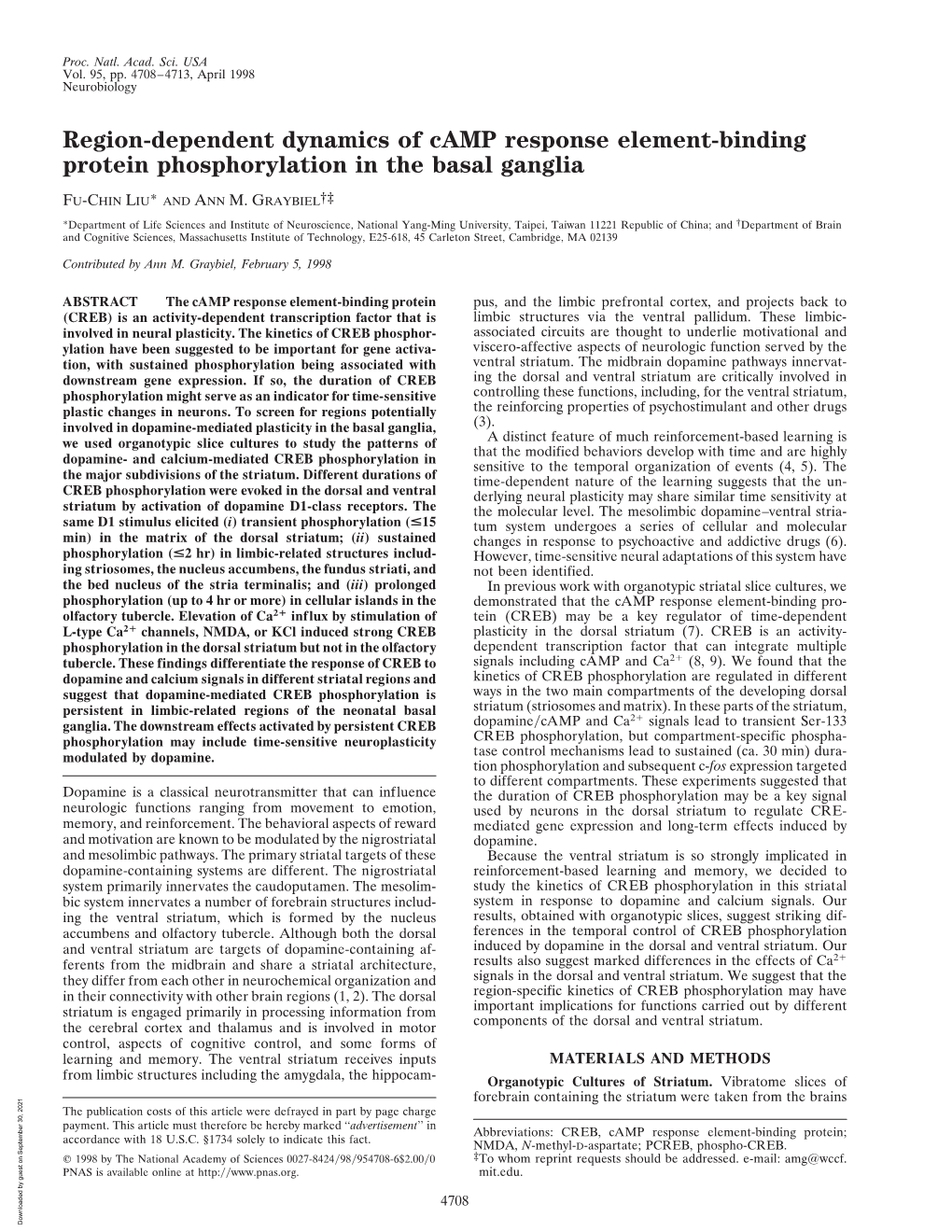 Region-Dependent Dynamics of Camp Response Element-Binding Protein Phosphorylation in the Basal Ganglia