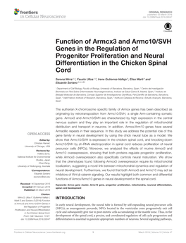 Function of Armcx3 and Armc10/SVH Genes in the Regulation of Progenitor Proliferation and Neural Differentiation in the Chicken Spinal Cord