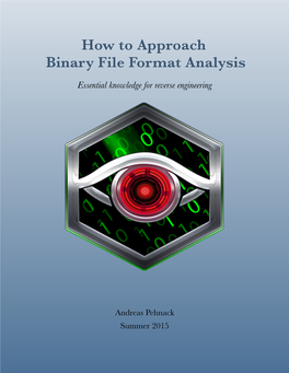 Binary File Format Analysis