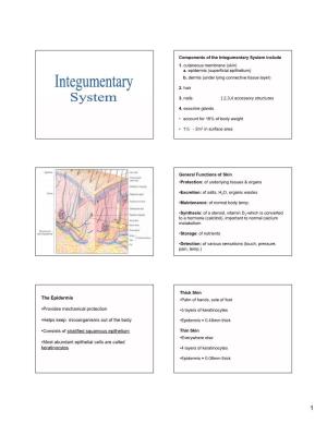 Components of the Integumentary System Include 1