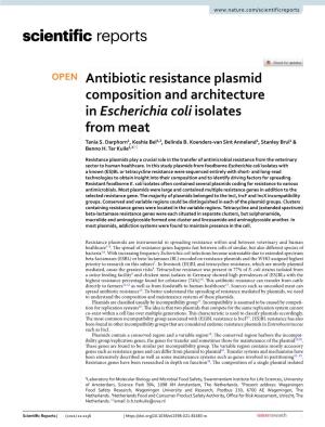 Antibiotic Resistance Plasmid Composition and Architecture in Escherichia Coli Isolates from Meat Tania S