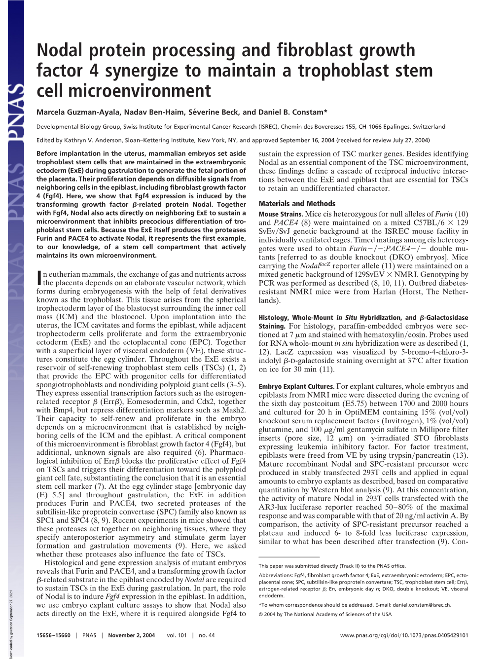 Nodal Protein Processing and Fibroblast Growth Factor 4 Synergize to Maintain a Trophoblast Stem Cell Microenvironment