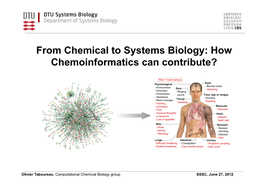 From Chemical to Systems Biology: How Chemoinformatics Can Contribute?