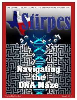 Navigating the DNA Maze