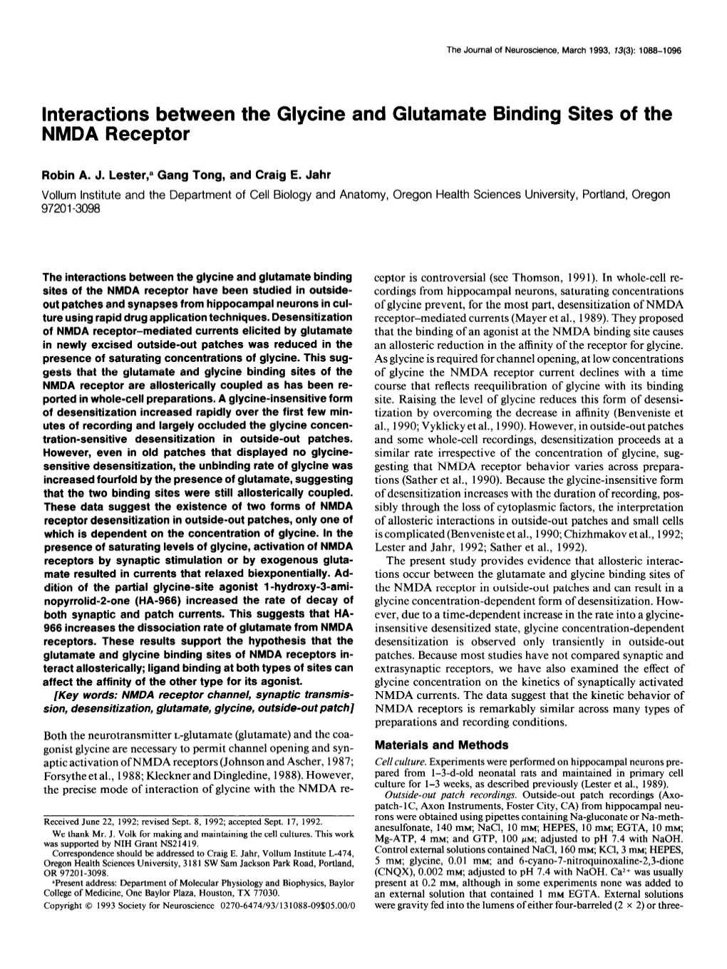 Interactions Between the Glycine and Glutamate Binding Sites of the NMDA Receptor