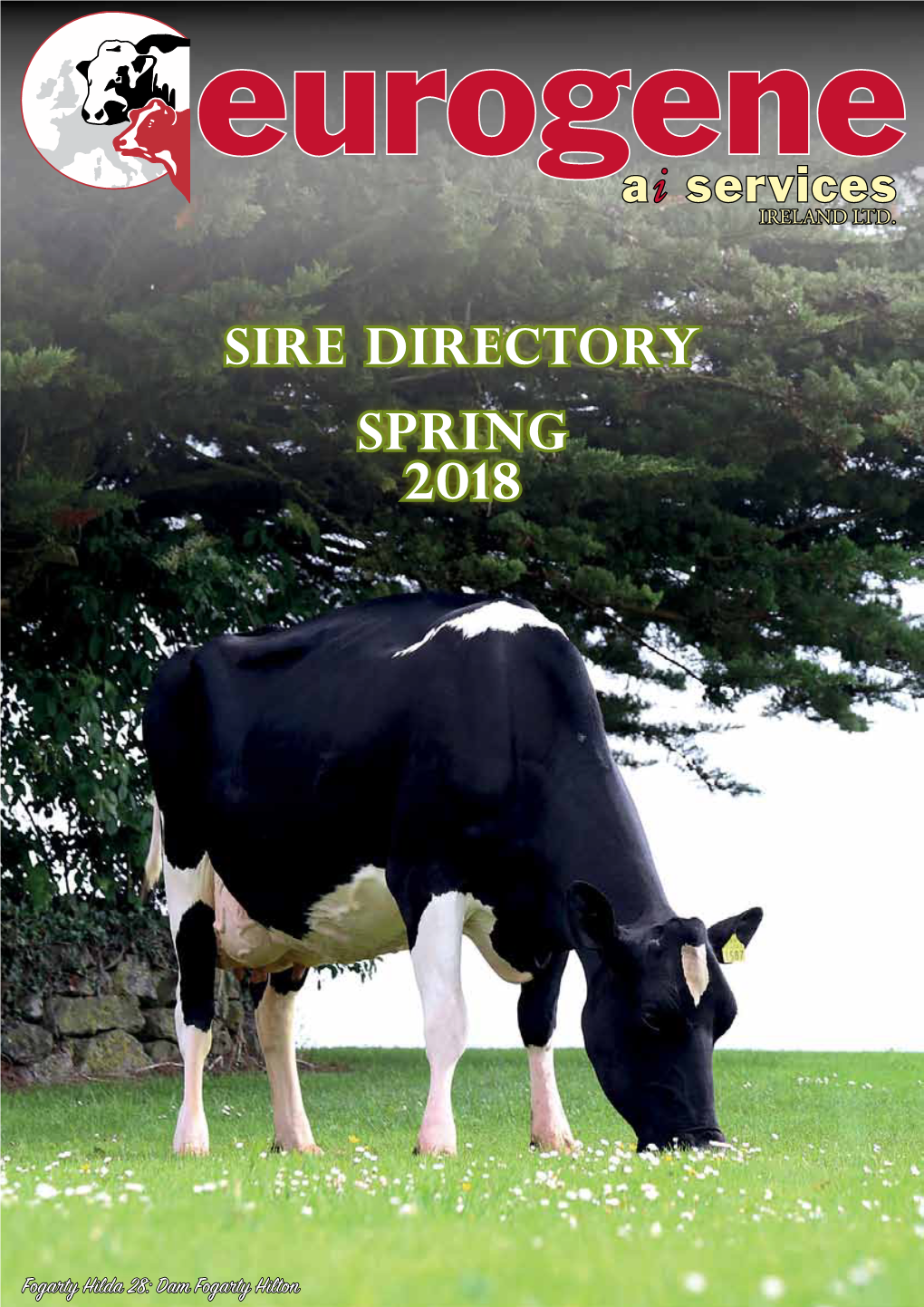 SIRE Directory SPRING 2018