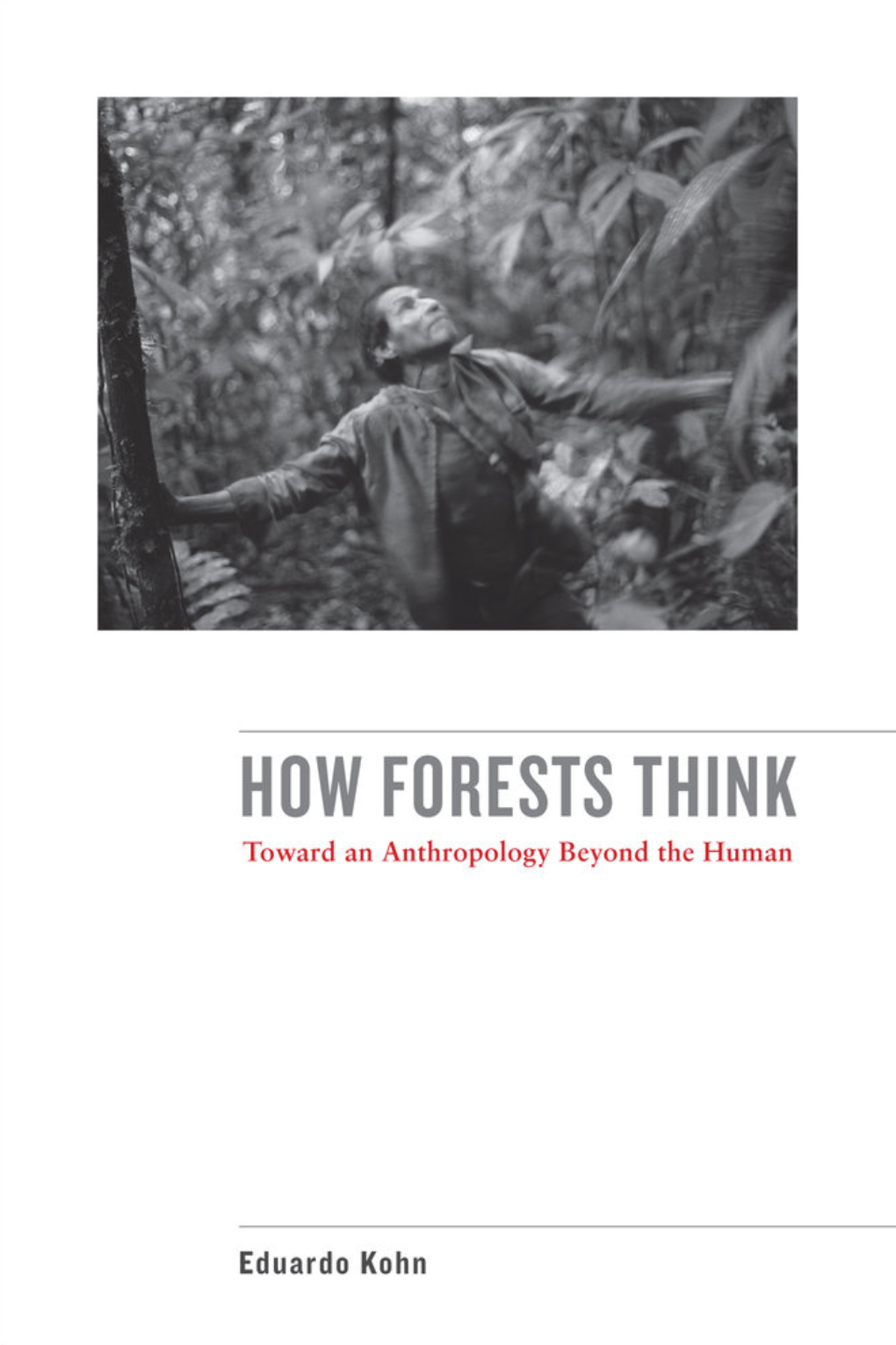 How Forests Think