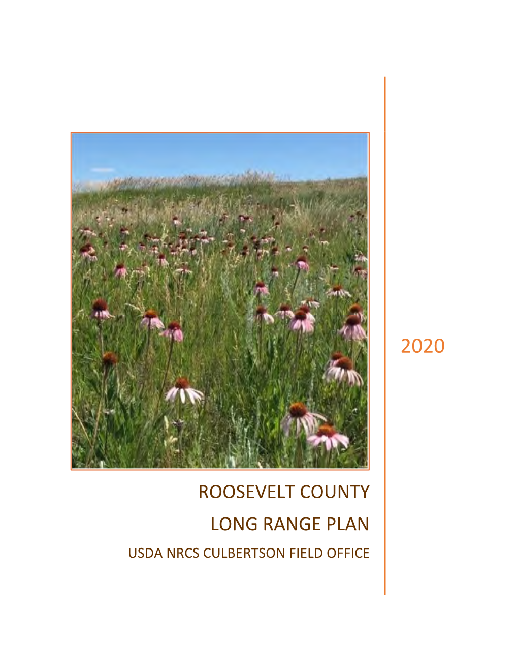 Roosevelt County Long Range Plan 2020