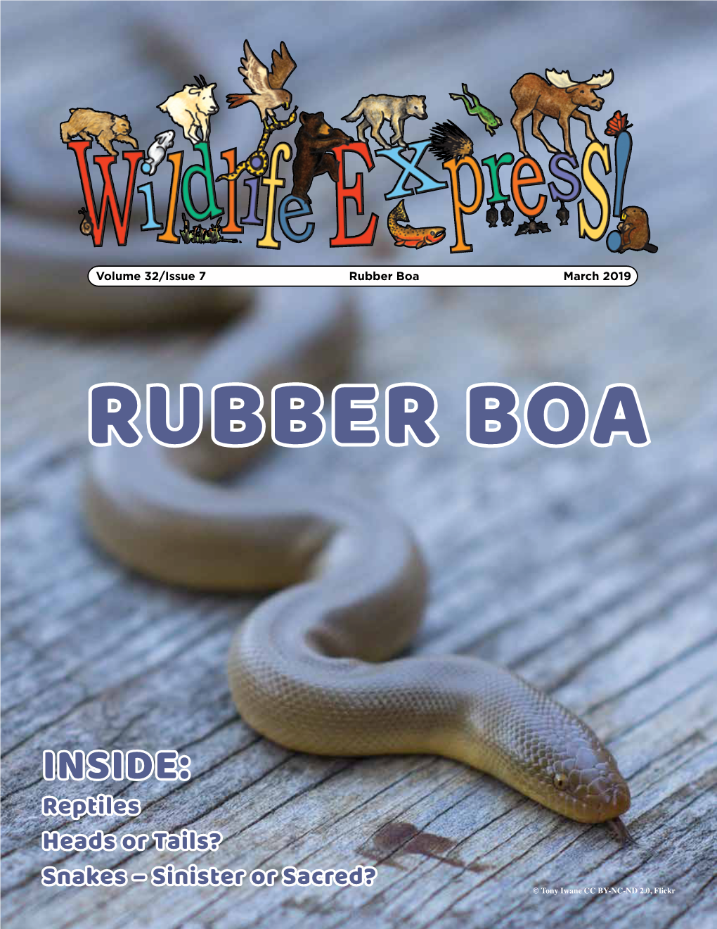 Rubber Boa March 2019