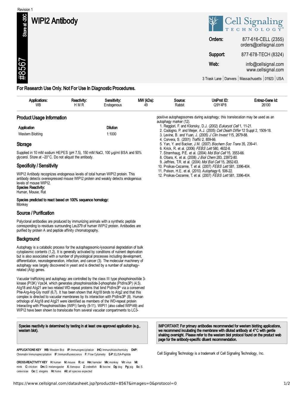 WIPI2 Antibody A